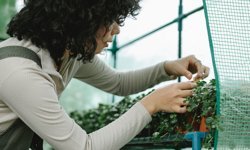 Tarım-Gıda alanında Kadınları Güçlendirme (EWA) Grow 2026 programı için başvurular başladı