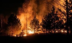 ABD'nin Georgia eyaletinde orman yangınlarında 120'den fazla ev kül oldu