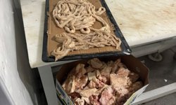 Gazimağusa Belediyesi: “800 kilo et ürünü imha edildi”