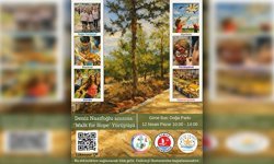 Onkoloji hastalarına destek amaçlı “Walk For Hope” etkinliği yarın Girne'de yapılacak