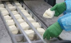 KTTO: “Hellim sürecinde Bureau Veritas Paris Ofisi’nin atanması memnuniyet verici”