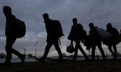 Güney Kıbrıs’ta siyasi sığınmacı rakamları