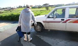 Güney Kıbrıs’ta şap hastalığı domuz çiftliklerine de sıçradı