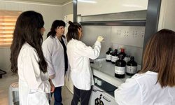 TAGEM laboratuvarında Peroksit Sayısı ve Serbest Yağ Asitleri analizi de yapılabilecek