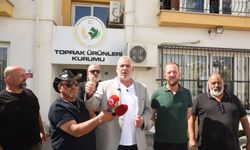 Hayvan Üreticileri ve Yetiştiricileri Birliği "hükümeti ve TÜK'ü üreticiyi mağdur etmekle" suçladı