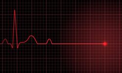 21 yaşındaki Buse Kara’nın ölüm sebebi “akciğer enfeksiyonu ve pulmoner emboli”