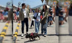 Alagadi’de evcil hayvanlar için festival düzenlendi