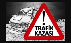 Lapta'da alkollü sürücü kaza yaptı, tutuklandı