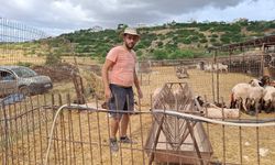 Hayvancılar Birliği Başkanı Onalt: “Başıboş köpeklerin saldırıları üreticiler için büyüyen bir sorun haline geldi"