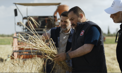 Arpa çeşit adaylarının hasadı yapıldı