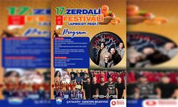 Çatalköy - Esentepe Belediyesi 17. Zerdali Festivali başlıyor