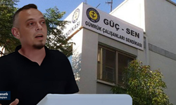 Kanatlı: "Ülkeye giren mallarla ilgili bazı uygulamalar ülke güvenliğini riske atıyor"