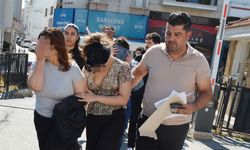 Onaysız Embriyo Sevkiyatı Davasında Bir Sanık Hapse İki Sanık Teminata Bağlandı