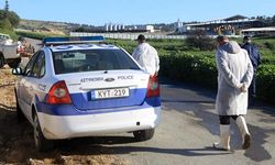 Güney Kıbrıs'ta Şap hastalığı dolayısıyla ilgili yasadaki cezalar artırıldı