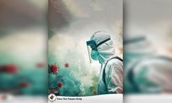 Tabipler Birliği’nden Ebola salgınına karşı ulusal eylem planı çağrısı