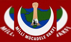 Milli Mücadele Vakfı, Kıbrıs sorunu konusunda eleştirilerde bulundu