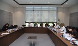 Ekonomi Maliye Bütçe ve Plan Komitesi, Kamu İlhale Değişiklik ve Belediyeler Değişiklik yasa tasarılarını görüştü