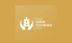 Büyükbaş hayvanlar için düşük tazminatı ödendi