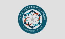 Tam Demokrasi Platformu, Gürlek’i KKTC Temsilcisi olarak atadı