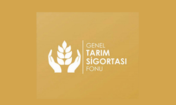 Patates üreticileri için itiraz süresi çarşambaya kadar uzatıldı