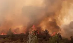 Güney Kıbrıs'ta Avrupa Bölgesel Yangın Söndürme Merkezi kuruluyor