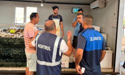 Lefkoşa Merkez Pazarı’nda balık satıcılarına denetim...7 kilo hamisiye el konuldu
