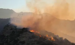 Girit'te orman yangını
