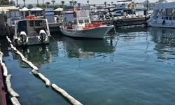 Baf limanında ciddi mazot ve sıvı atık kirliliği yaşanıyor