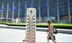 Belçika'da sıcak hava dalgasında ölümler, normal seviyelerin yüzde 39 üzerine çıktı