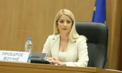 Dimitriu: “Kıbrıs'ın yeniden birleşmesine yönelik her samimi girişimi destekleyeceğiz