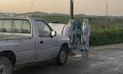 Güney Kıbrıs'ta daha önce vaka tespit edilmemiş bölgelerde şap hastalığı şüphesi