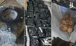 Güney Kıbrıs’ta son 3 ayda 400 kilo haşhaş ele geçirildi