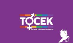 TDP TOCEK: “Kadına yönelik şiddetin önlenmesi devletin en temel sorumluluklarından biri”