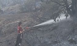 Tirmen’de 120 dönümlük alan yandı