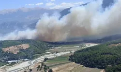 Muğla'da başlayan orman yangını Antalya'ya sıçradı