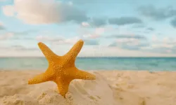 Temmuz ayında Rum turizmini "İsrail kurtardı"…