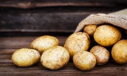 Rum tarım örgütlerinden patates üreticilerine su verilmesi talebi