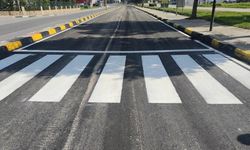 Girne’de, 81 yaşındaki kişiyi “yaya geçidinden yavaş geçtiği” gerekçesiyle darp eden şahıs tutuklandı