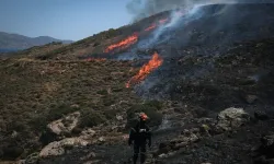 Yunanistan’ın Konitsa bölgesinde çıkan orman yangını 8 gündür kontrol altına alınamadı