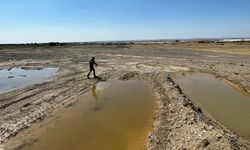 Değirmenlik Akıncılar Belediyesi sivrisinek ile mücadele için üreme kaynakları risk haritası oluşturdu