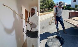 Tatlısu Belediyesi, Batı Nil Virüsü’ne karşı sivrisinekle mücadele çalışmalarını yoğunlaştırdı