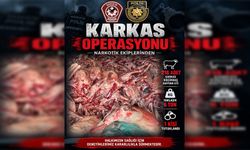 “Karkas Operasyonu” kapsamında altı ton kaçak et ele geçirildi