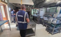 Kaplıca bölgesindeki su ürünleri restoranları denetlendi