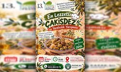 13. Kalkanlı Çakisdez ve Kültür Festivali hafta sonu yapılacak