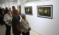 Emel Sefer’in, “İçimdeki Sınır-Fiziksel Bölünmüşlüğün Psikolojik Portresi Sergisi" yarına kadar ziyaret edilebilecek