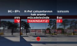 CTP: “K-Pet çalışanlarının hak arama mücadelesinin yanındayız”