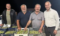 Ersun Aytaç: "Büyükkonuk Zeytin Üreticileri Tarım Kooperatifi’nin üye sayısı 250’ye, üretim kapasitesi 60 tona ulaştı"