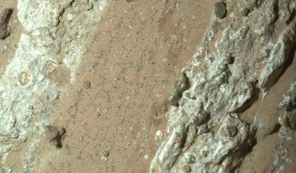 NASA: Mars'ta bulunan leopar benekli kaya, gezegendeki en net yaşam belirtisi olabilir