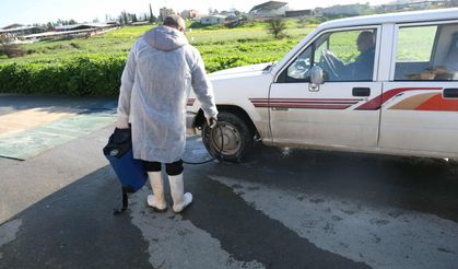 Güney Kıbrıs’ın tamamı şap hastalığı yüzünden karantinaya alındı