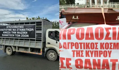 Hayvancılar siyah tabutla Rum Başkanlık Sarayı’na yürüdü